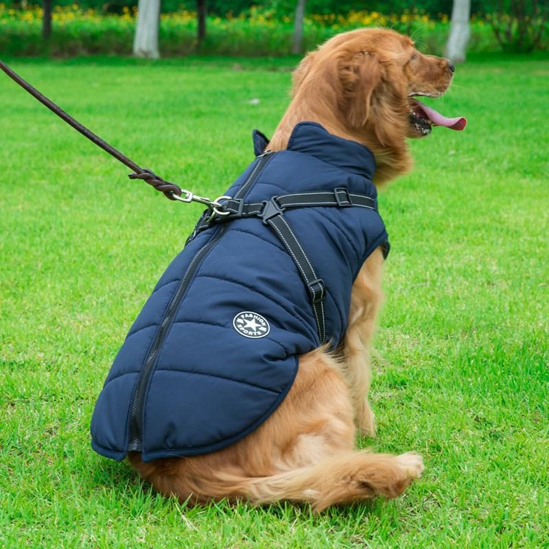 BowLift | Winter Zipper Coat for Dogs