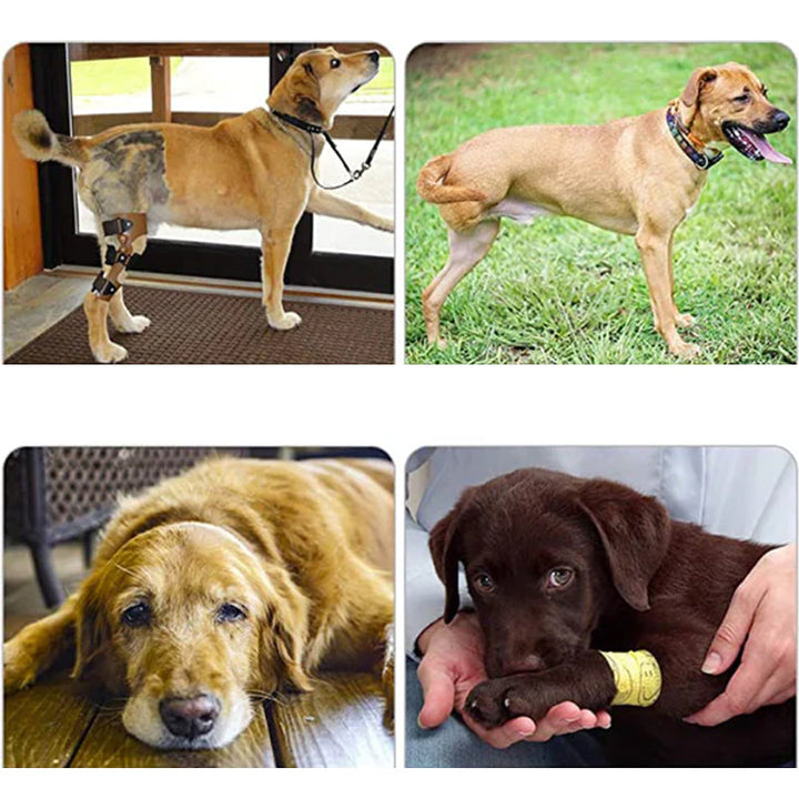 BowLift | Orthopedic Rear Leg Support Harness for Dogs – Ideal for Arthritis, Hip Dysplasia & Mobility Aid