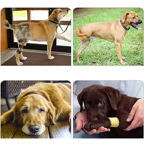 BowLift | Orthopedic Rear Leg Support Harness for Dogs – Ideal for Arthritis, Hip Dysplasia & Mobility Aid