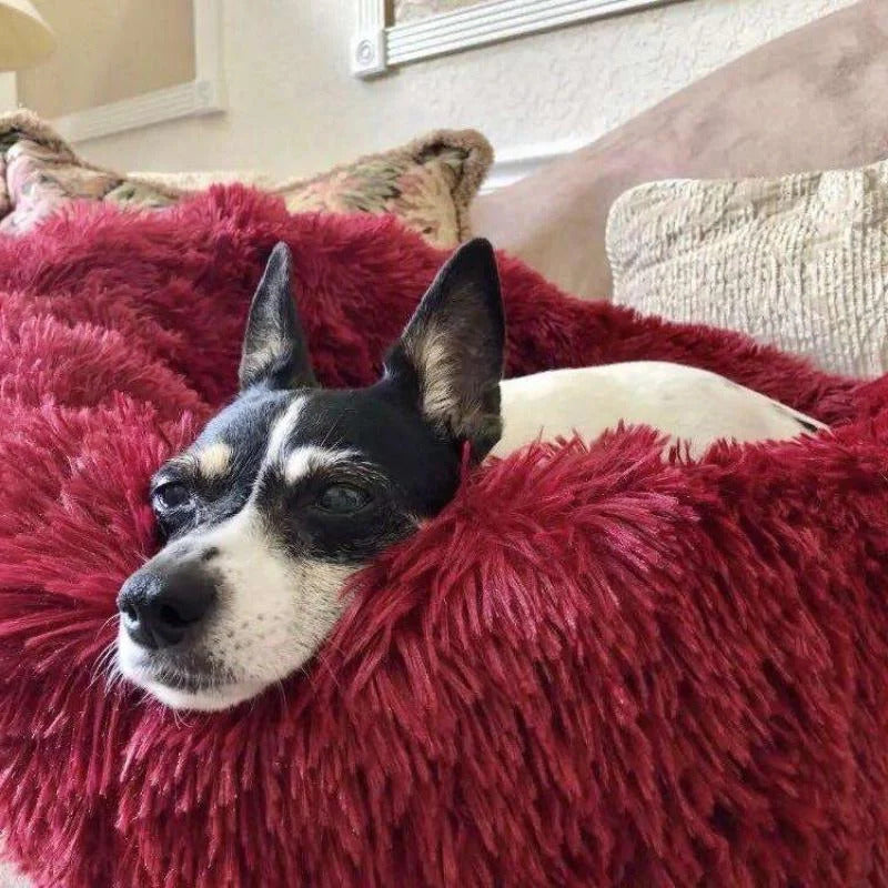 BowLift | Long Plush Donut Pet Bed with Washable Cover and Non-Slip Base