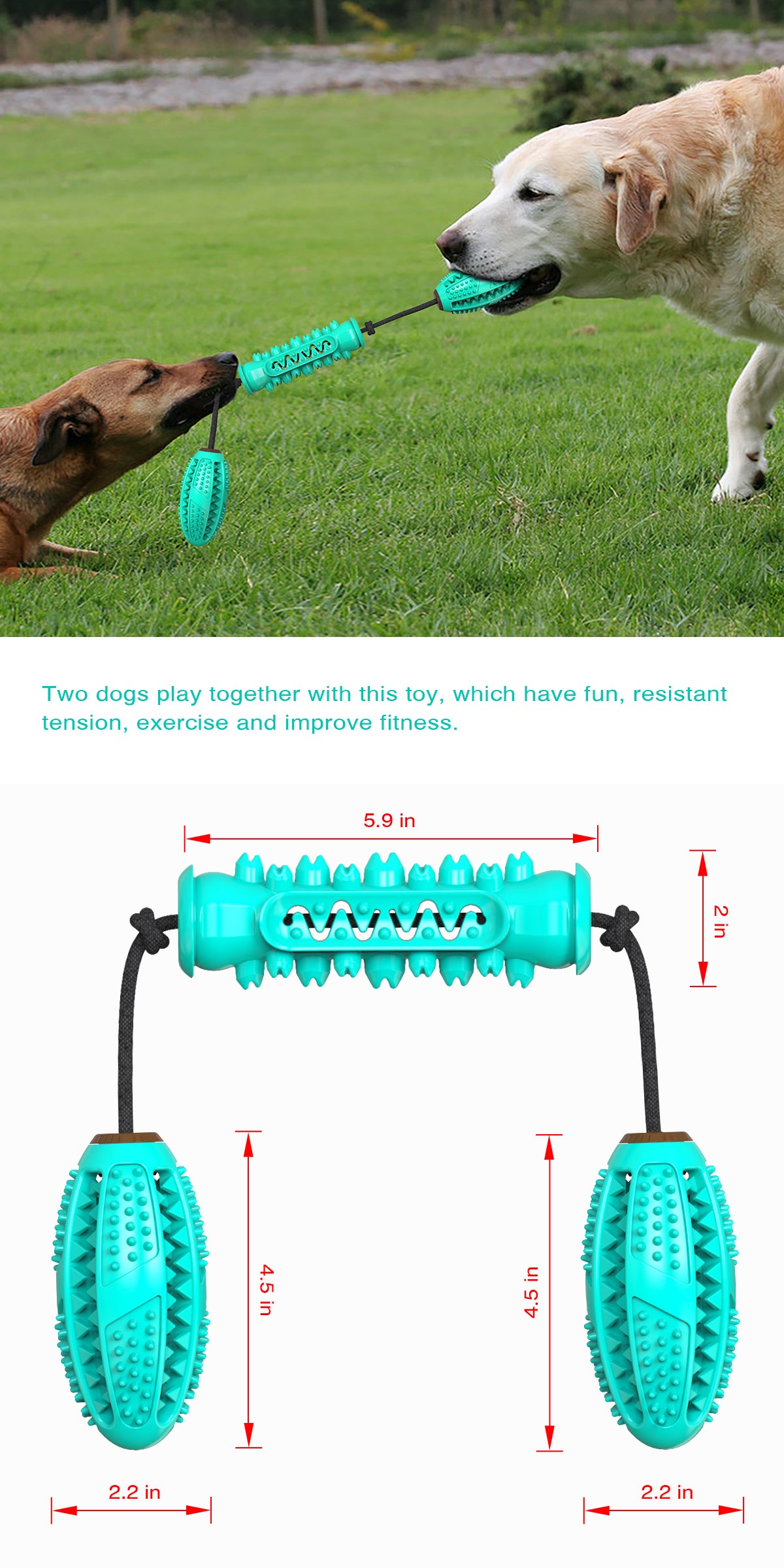 Dog Serrated Chew Toy / Dumbbell Style B / For Dogs