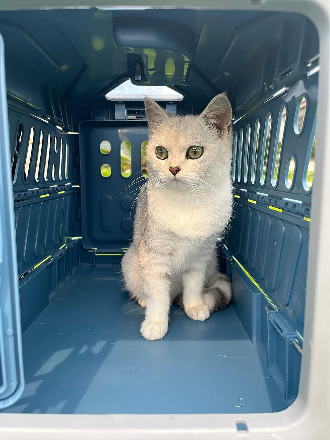Foldable Pet Transport Box Bowlift