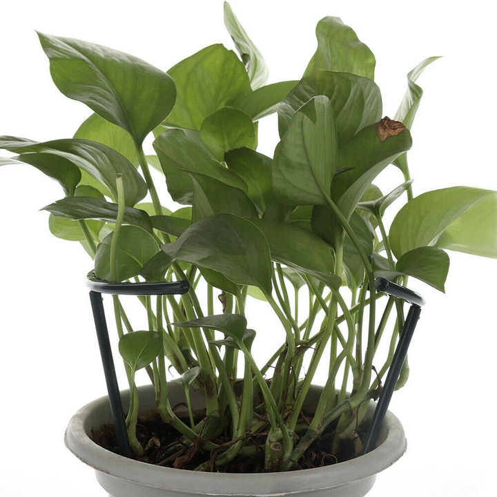 BowLift | Climbing support for plants – Robust holder with cage design for growth and stability