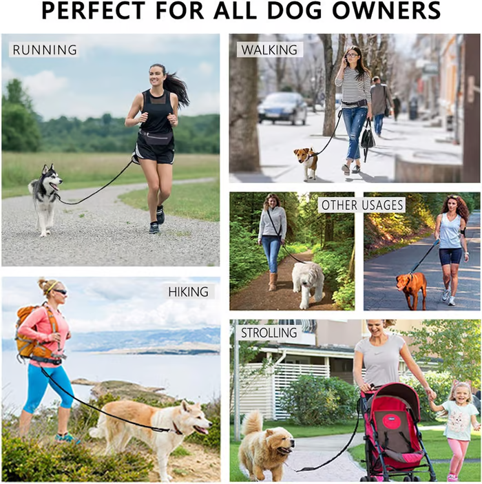 BowLift | PawsFree Pro – Enjoy stress-free walks with your dog