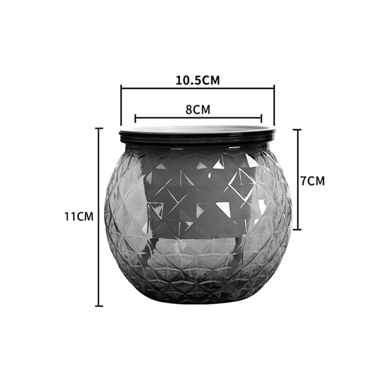 BowLift | Self-Watering Succulent Plant Pot with Fish Tank