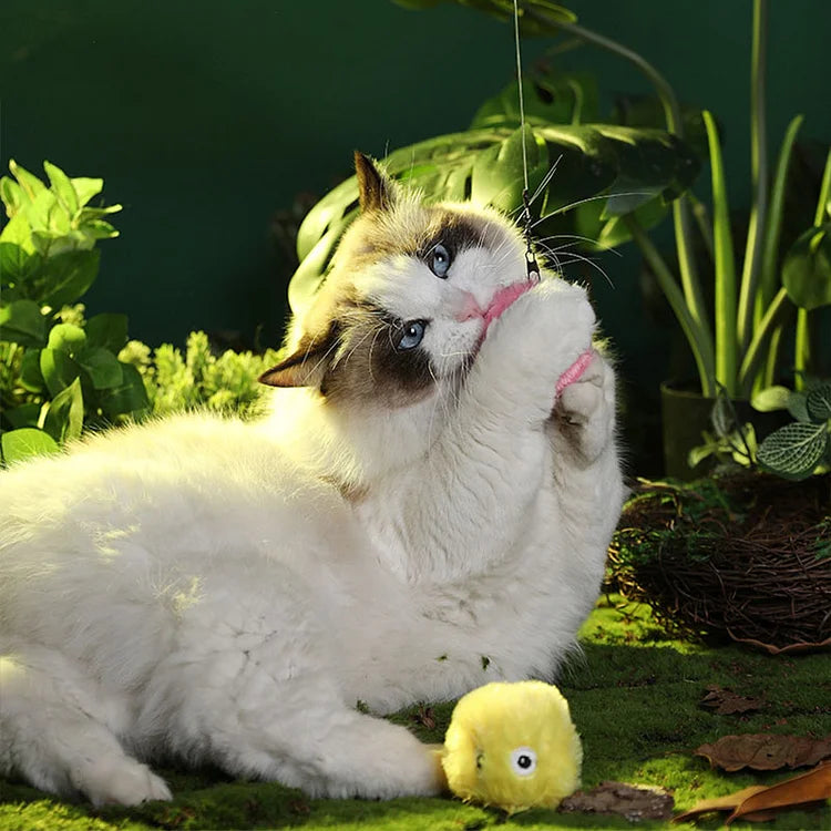 BowLift | – smarter interactive plush ball for cats | buy 1, get 1 free 🎁