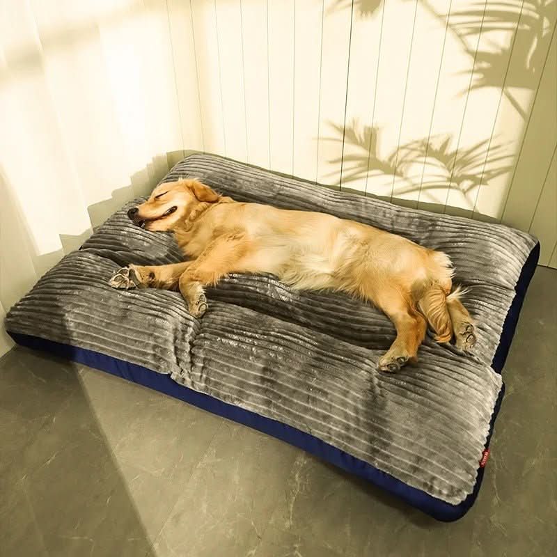 BowLift | Cozy & Supportive for Restful Nights