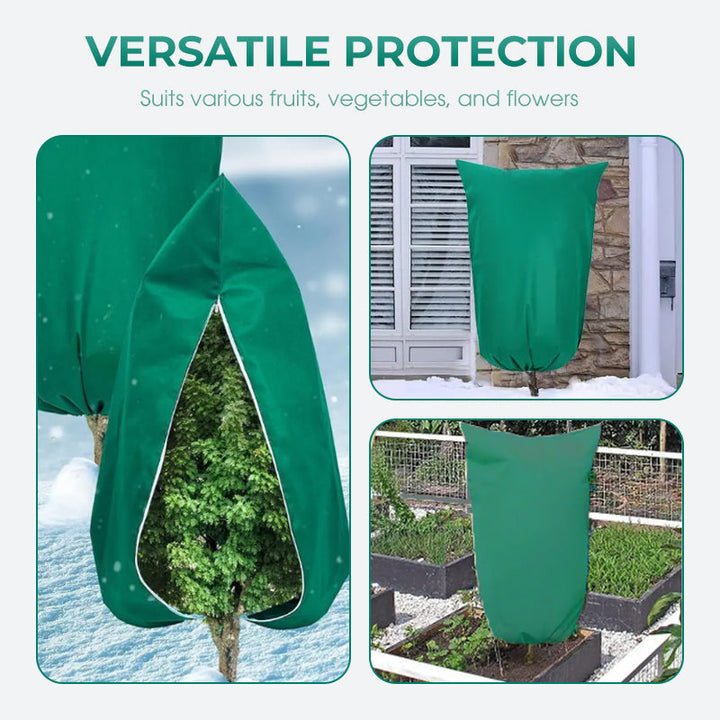 BowLift | CozyPlant – Protect your plants from winter cold and help them thrive