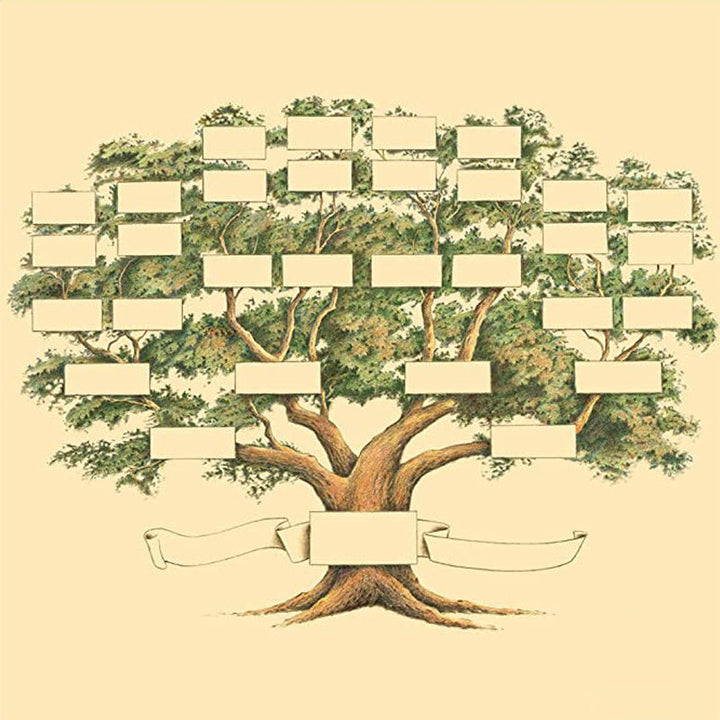 Family Tree Genealogy Diagram | Bowlift