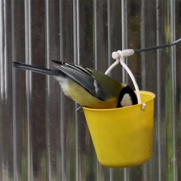 BowLift | FeederMagic Whimsical Bird Entertainment