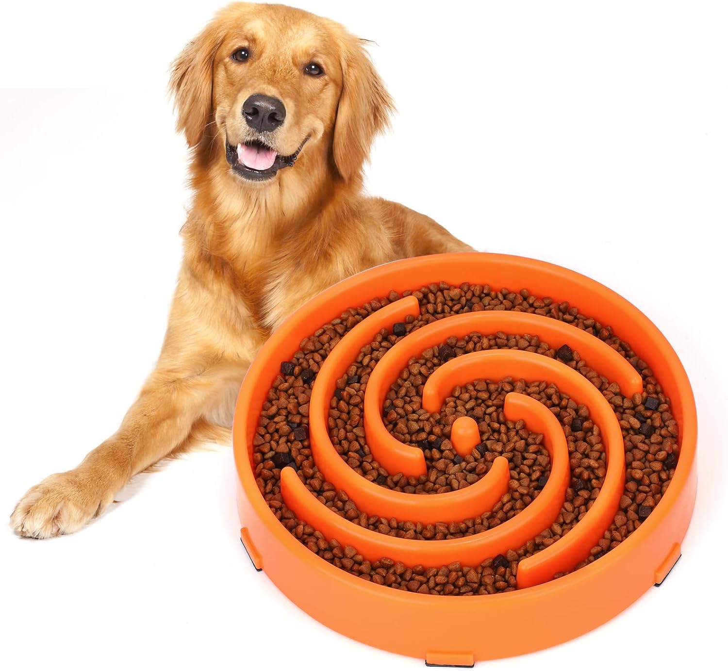 PuzzleFeast • Dog Feeding Bowl Slow