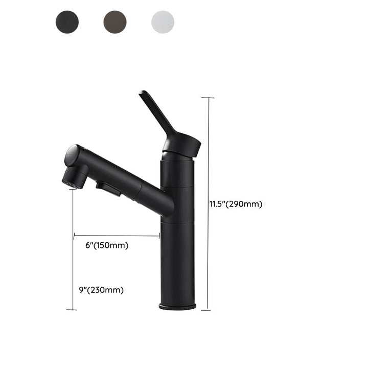 BowLift | Bathroom Vessel Faucet Swivel Spout Single Handle Faucet with Pull-Out Spray Head