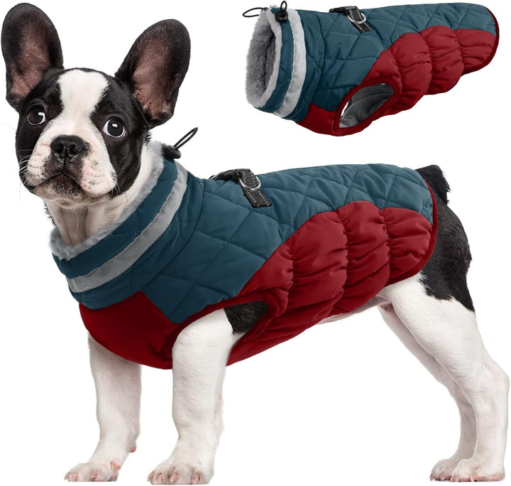 BowLift | SafeWalk Winter Harness Jacket – Waterproof dog jacket with reflection and fleece lining