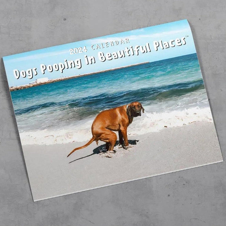 Funniest Calendar-Dogs Pooping in Beautiful Places | "Artistic Expression" of Furry Friends | Bowlift