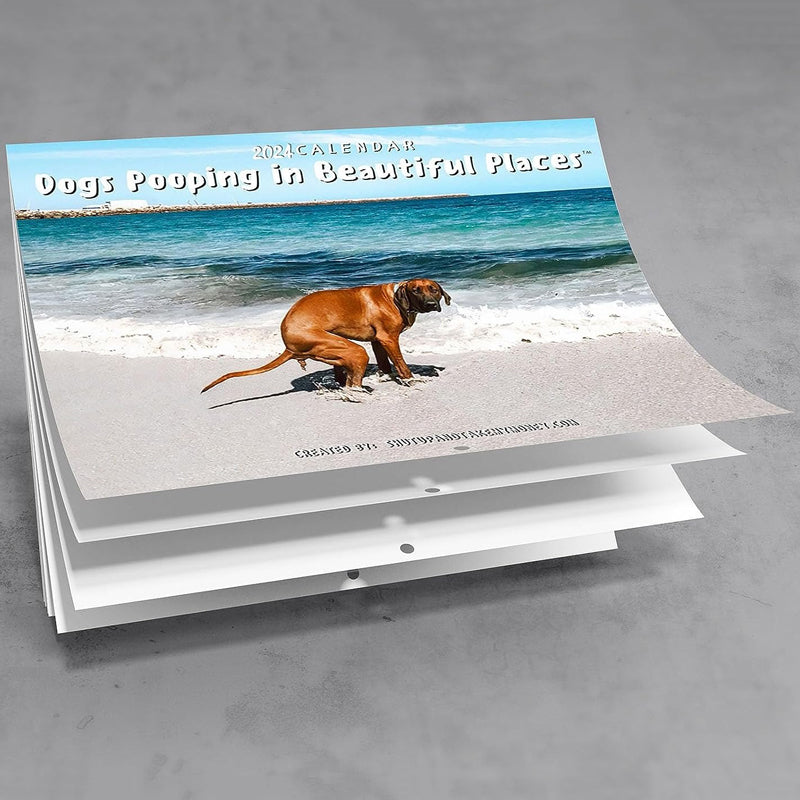 Funniest Calendar-Dogs Pooping in Beautiful Places | "Artistic Expression" of Furry Friends | Bowlift