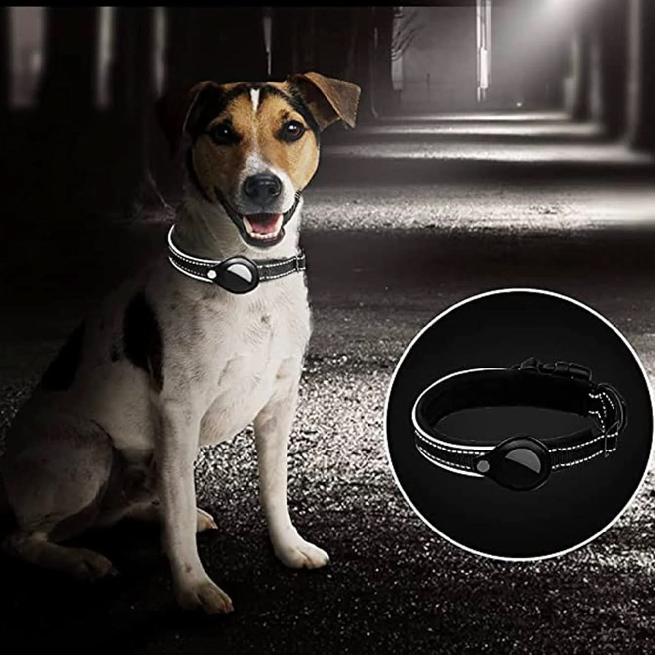 BowLift | LEAZO - AirTag Dog Collar