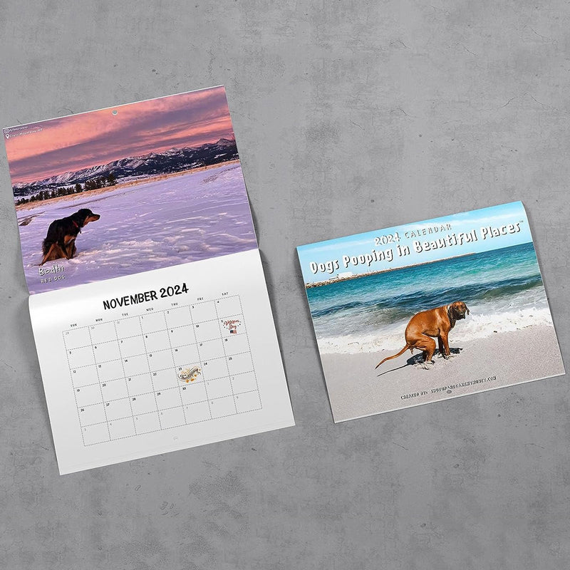 Funniest Calendar-Dogs Pooping in Beautiful Places | "Artistic Expression" of Furry Friends | Bowlift