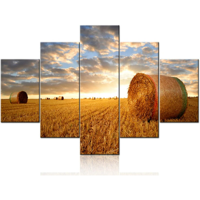 Set Of 5 Sunset Farmland Decorative Canvas | Bowlift