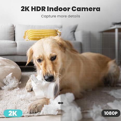 BowLift | 360° Indoor Security Camera - For Safety and Peace of Mind