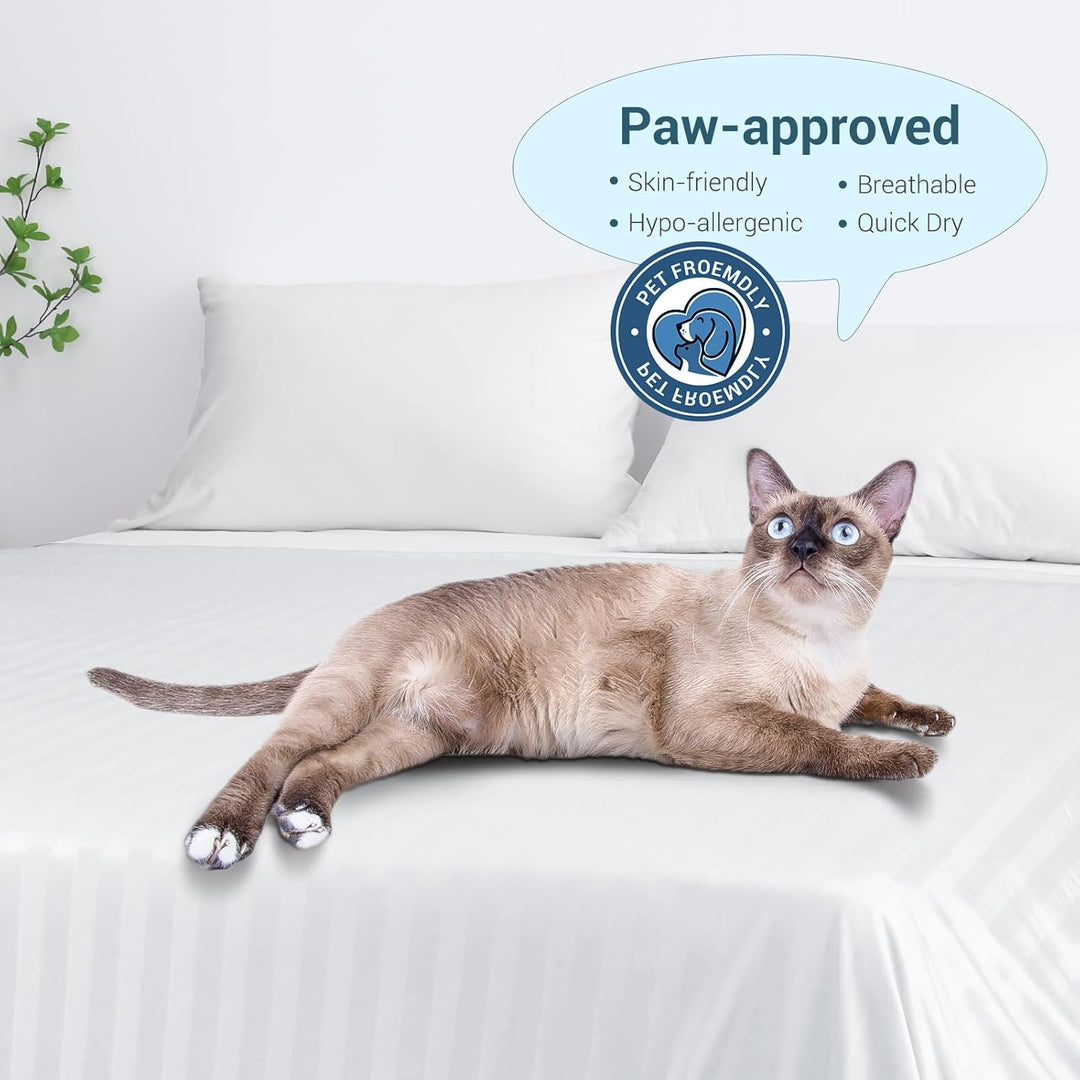 3.0 Cooling Fabric Q-max > 0.5 Ultra-Soft White Striped Blanket of White | Bowlift