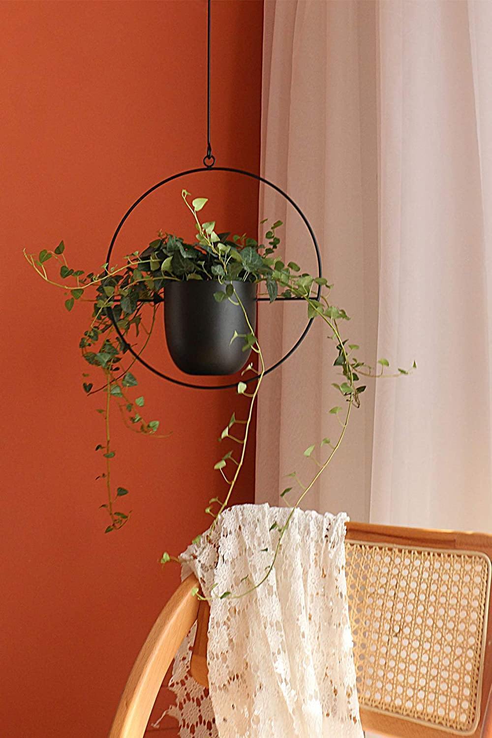 HaloRing Hanging Plant Holder – Metal Hanging Planter for Indoor and Outdoor | Bowlift