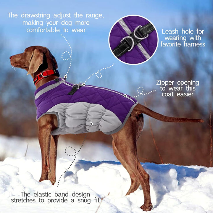 BowLift | SafeWalk Winter Harness Jacket – Waterproof dog jacket with reflection and fleece lining