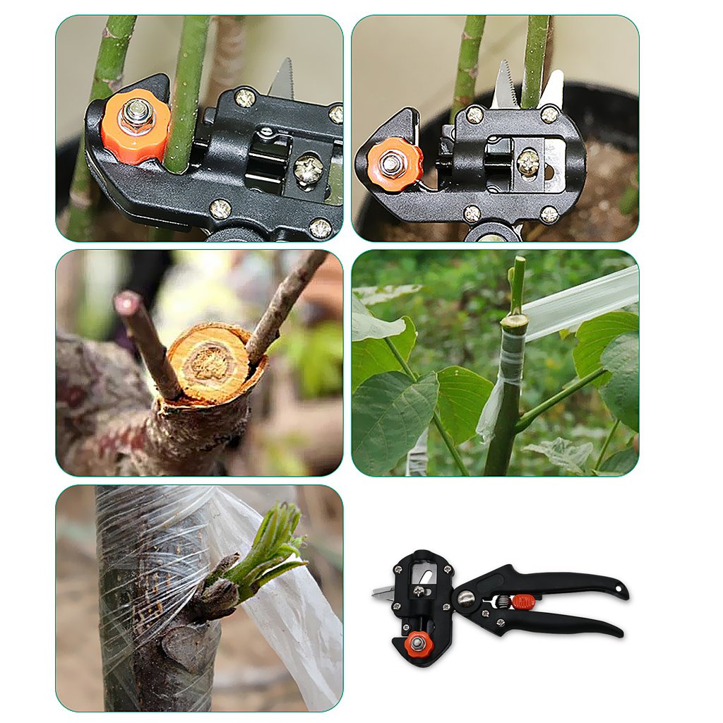 BowLift | Grafting and cutting tool set for precise plant grafting