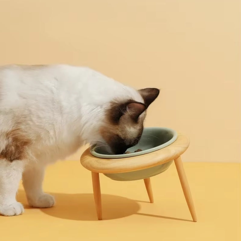 BowLift | Misha Ceramic Elevated Cat Bowl with Wooden Stand