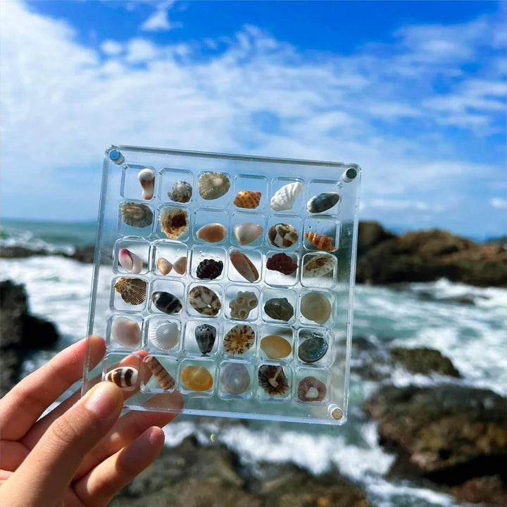 Acrylic Treasure Keeper | Stylishly Store Your Sea Collection | Bowlift