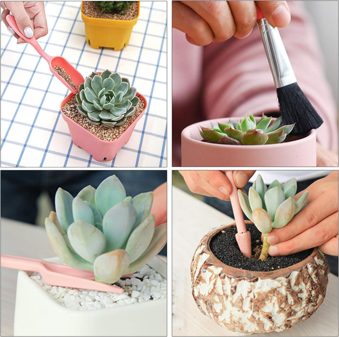 BowLift | Combination set for succulent planting tools – Practical set for care and planting