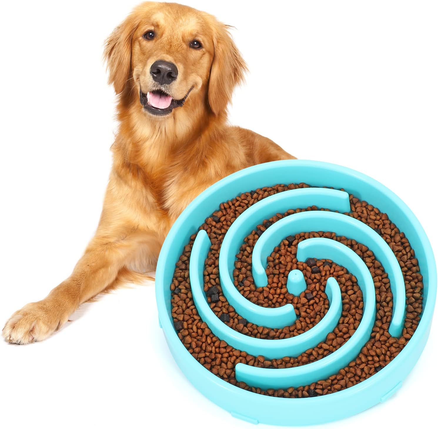 PuzzleFeast • Dog Feeding Bowl Slow