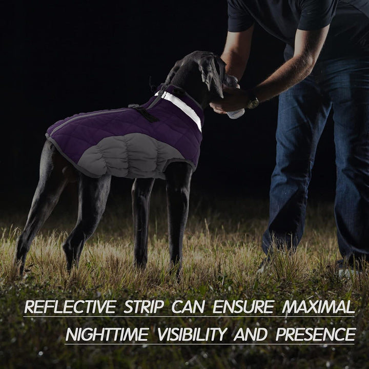 BowLift | SafeWalk Winter Harness Jacket – Waterproof dog jacket with reflection and fleece lining