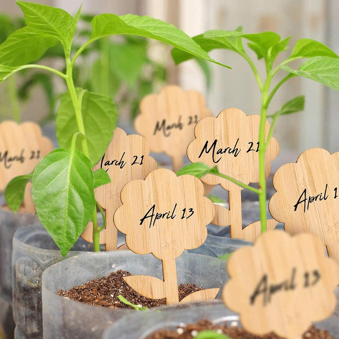 BowLift | Plant labels made of wood for garden and balcony – Rewritable labels for herbs and plants