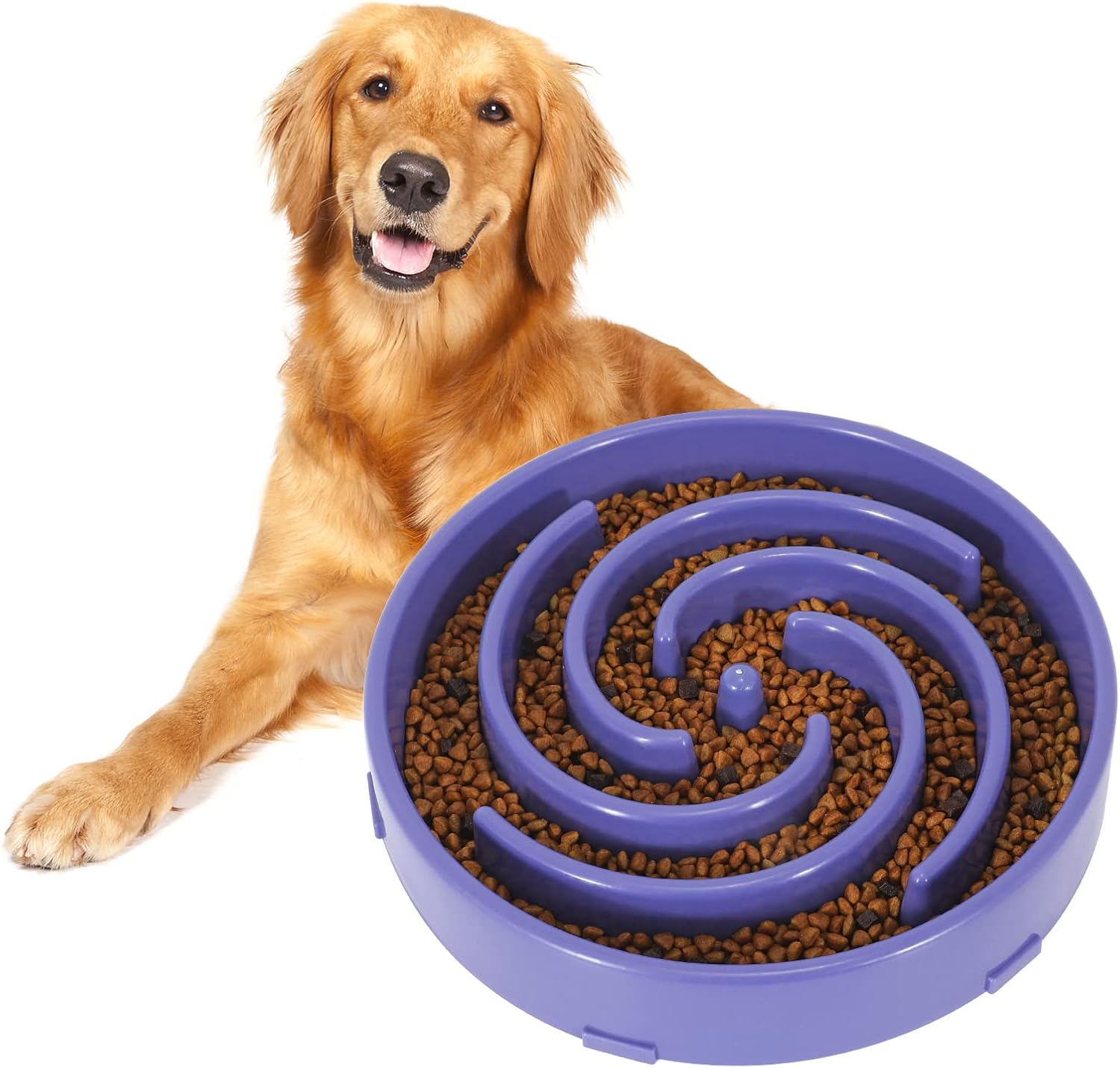 PuzzleFeast • Dog Feeding Bowl Slow