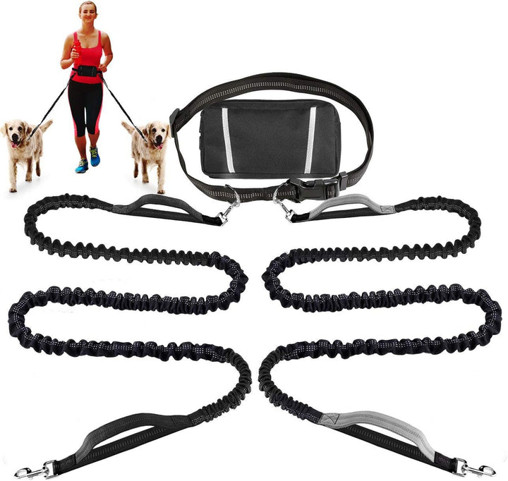 FlowLeash — Experience gentle control and relaxed walks without jerks! | Bowlift