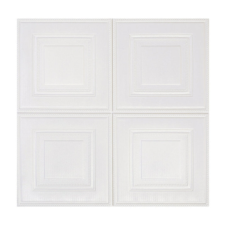 BowLift | Modern Wall Panel Cartoon Print Peel and Stick Waterproof Wall Panel