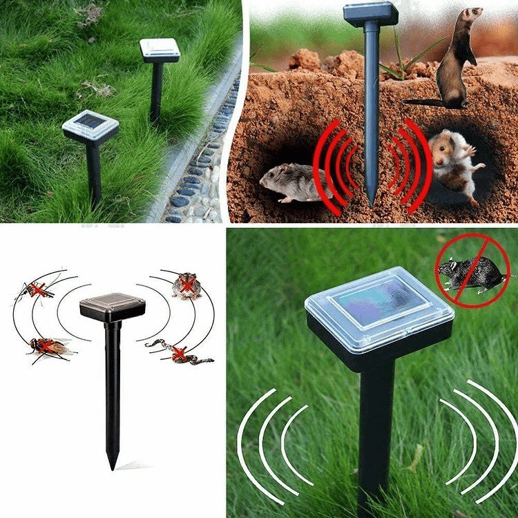 BowLift | Repel pests - Healthy and protected garden - Eco-friendly and effective