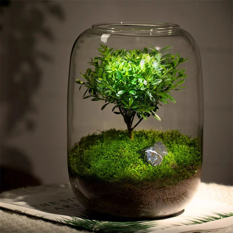 Micro Landscape Green Oasis Glass Vase | Bowlift