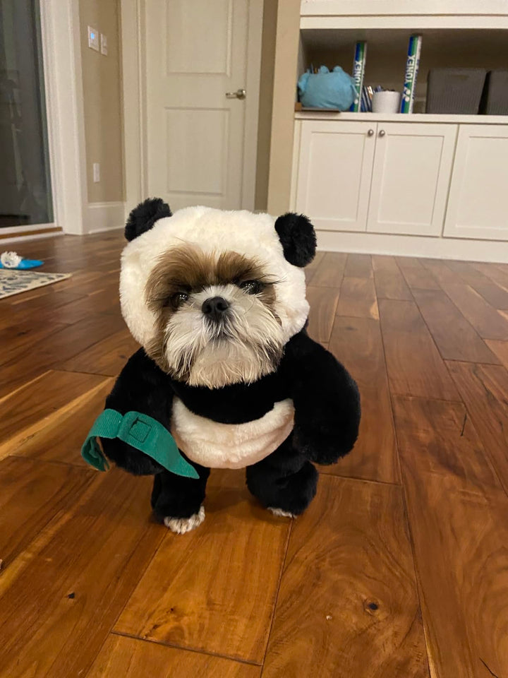 BowLift | Pandaloon Dog and Pet Costume Set
