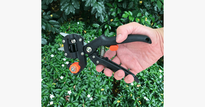 BowLift | Nifty Gardener's Graft – Improve Your Gardening Skills!