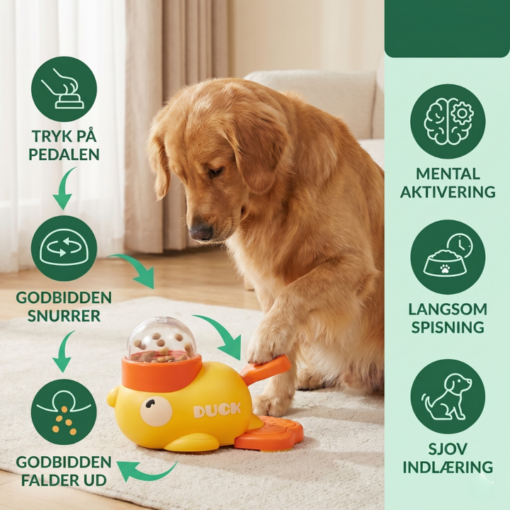 FeediDuck Slow Feeder for Dogs and Cats | Bowlift