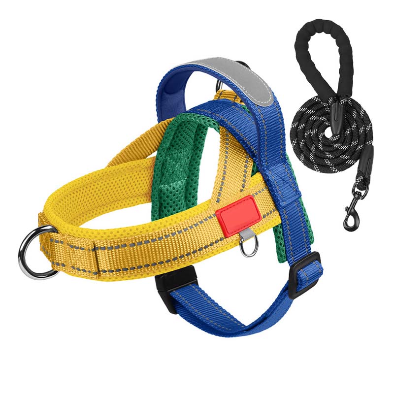 PawEase Comfort Harness — Relaxed Dressing and Unlimited Freedom for Your Dog | Bowlift