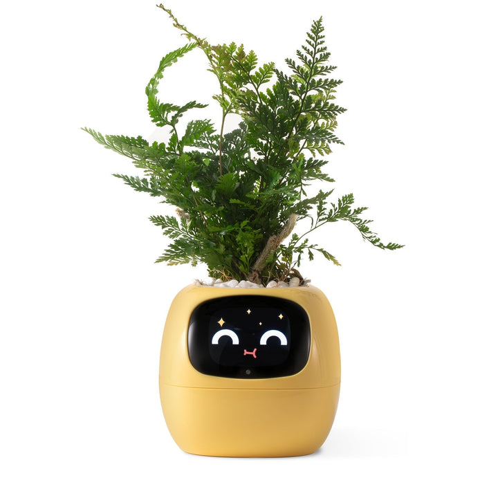 BowLift | VerdeGlow – Self-Watering Smart Plant Pot | Automatic Irrigation | Modern Indoor Planter