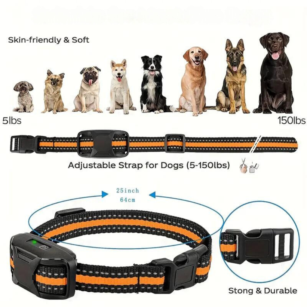 ProTrain • Dog Training Collar