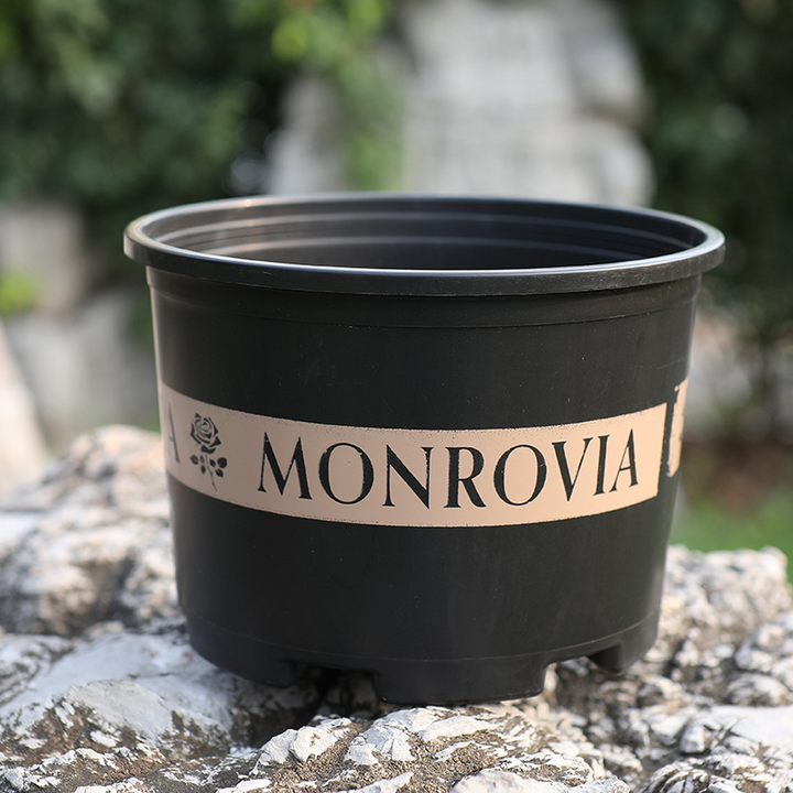 BowLift | Robust Plant Pot Made of Plastic – Weatherproof Flower Pot for Garden and Balcony