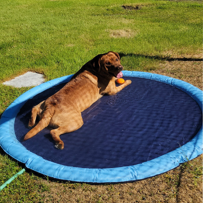 BowLift | Folding Pet Bathing Pad