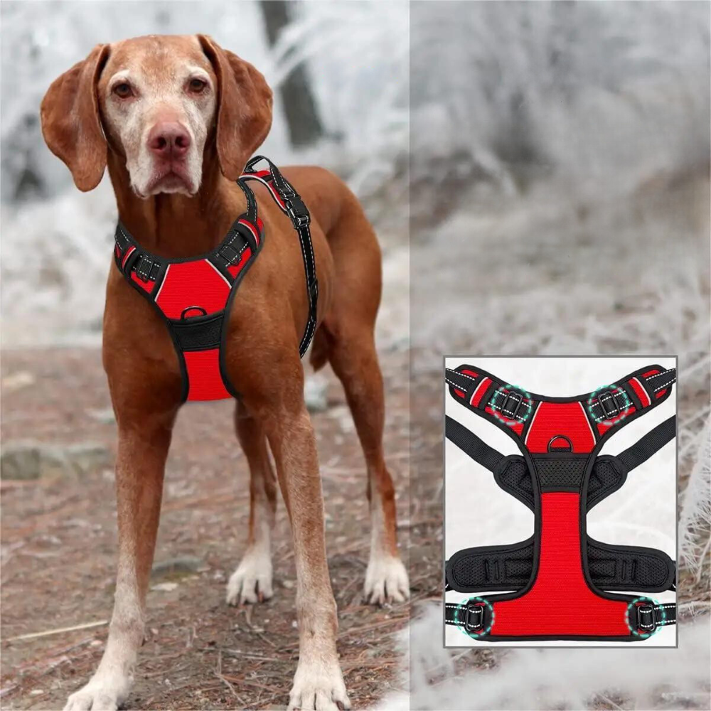 PowerPaw  • No Pull Dog Harness