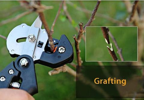 BowLift | Refinement scissors for garden – Precise cutting tools for grafting and refining plants