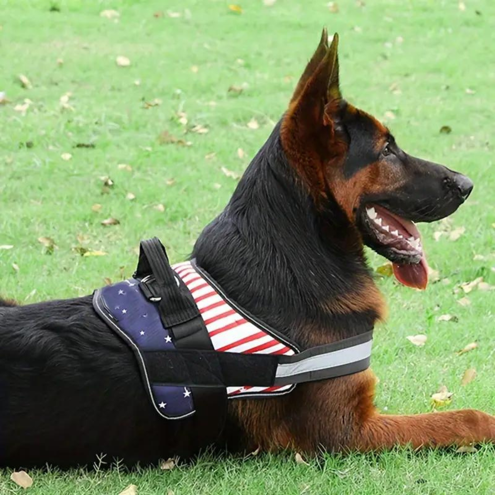 CamoHarness •  No Pull Dog Harness