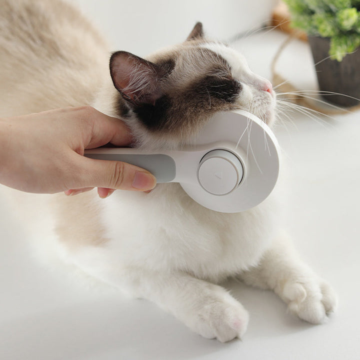 BowLift | Self Cleaning Slicker Brushes For Pet